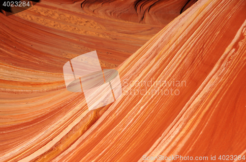 Image of The Wave, Vermilion Cliffs National Monument, Arizona, USA