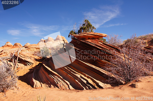 Image of The Wave, Vermilion Cliffs National Monument, Arizona, USA