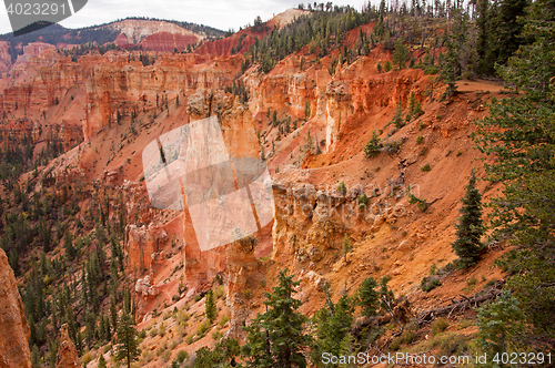 Image of Bryce Canyon, Utah, USA