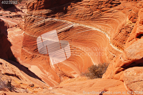 Image of The Wave, Vermilion Cliffs National Monument, Arizona, USA