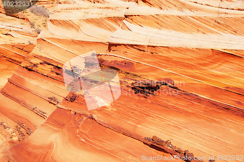 Image of The Wave, Vermilion Cliffs National Monument, Arizona, USA