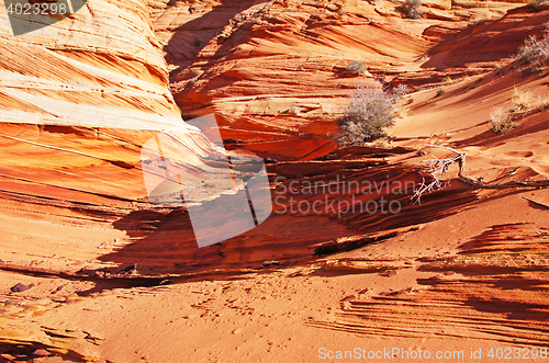 Image of The Wave, Vermilion Cliffs National Monument, Arizona, USA