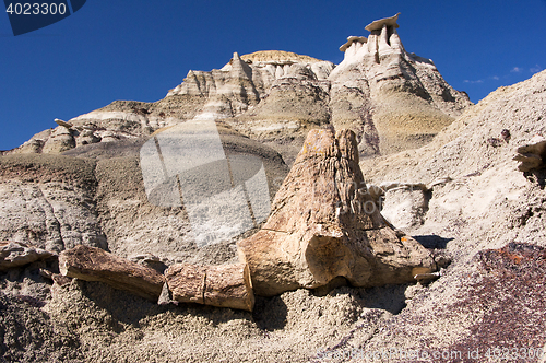 Image of Ah-Shi-Sle-Pah Wilderness Study Area, New Mexico, USA