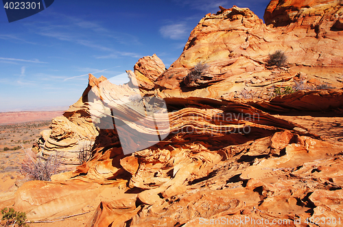 Image of The Wave, Vermilion Cliffs National Monument, Arizona, USA