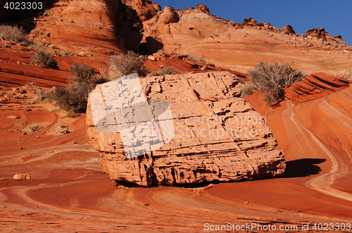 Image of The Wave, Vermilion Cliffs National Monument, Arizona, USA