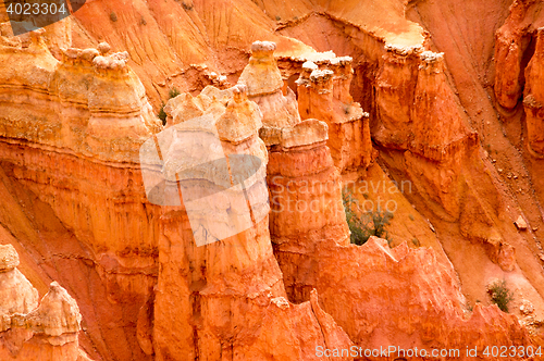 Image of Bryce Canyon, Utah, USA