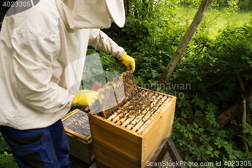 Image of Beekeeper