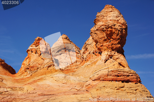 Image of The Wave, Vermilion Cliffs National Monument, Arizona, USA