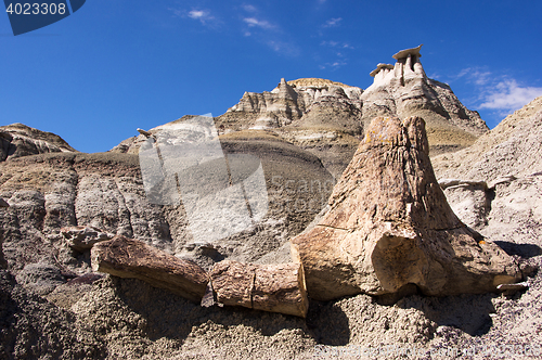 Image of Ah-Shi-Sle-Pah Wilderness Study Area, New Mexico, USA