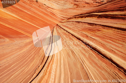 Image of The Wave, Vermilion Cliffs National Monument, Arizona, USA