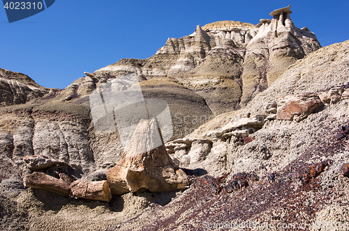 Image of Ah-Shi-Sle-Pah Wilderness Study Area, New Mexico, USA