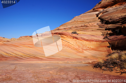 Image of The Wave, Vermilion Cliffs National Monument, Arizona, USA