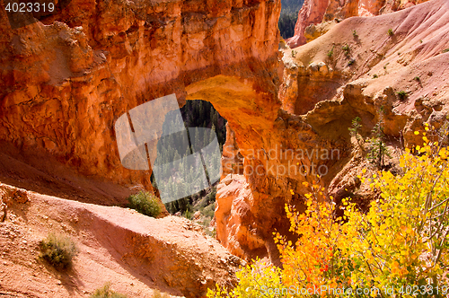 Image of Bryce Canyon, Utah, USA