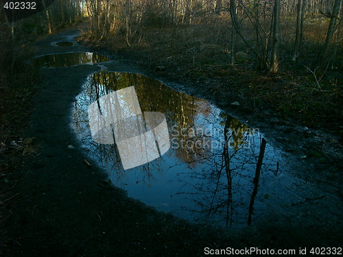 Image of Winter mirror