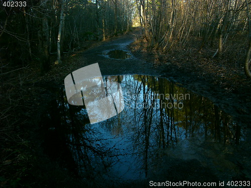 Image of Nature mirror