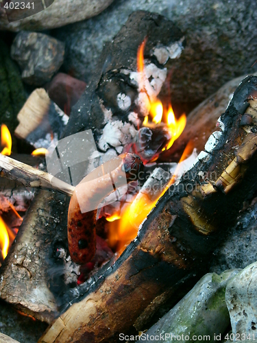 Image of Food in fire