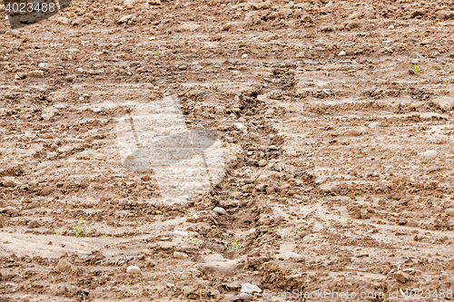 Image of plowed for sowing the land