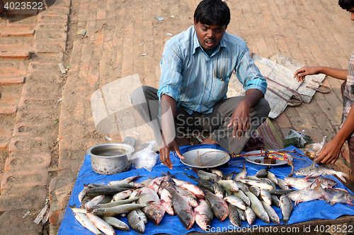 Image of Fish market in Canning, West Bengal, India