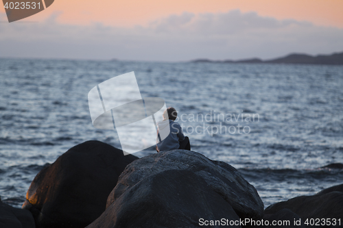 Image of Child watching Sunset