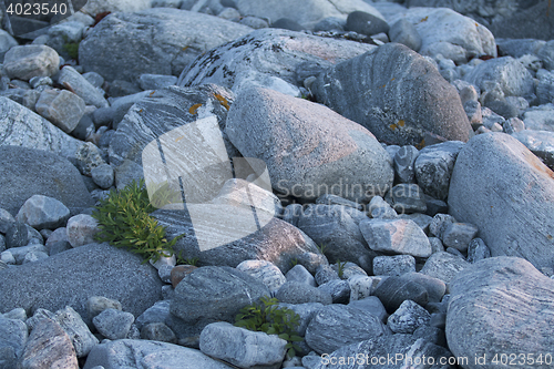 Image of Stones on Beach