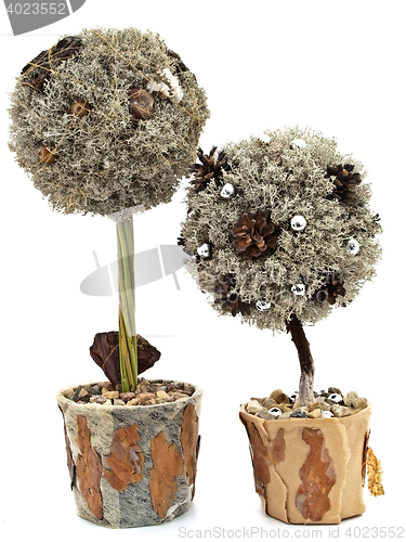 Image of Handmade Trees