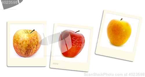 Image of Apple Photos