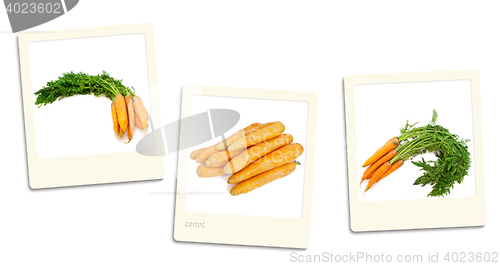 Image of Carrot Photos