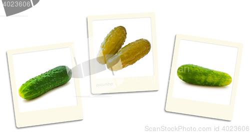 Image of Cucumbers Photos