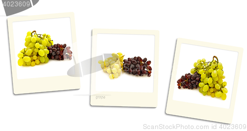 Image of Grape Photos