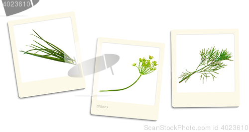 Image of Greens Photos