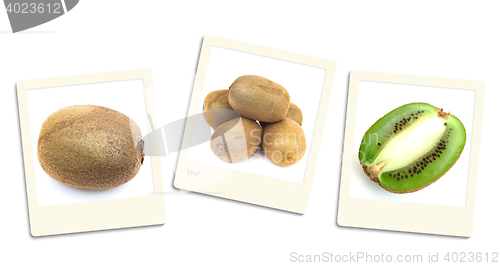 Image of Kiwi Photos