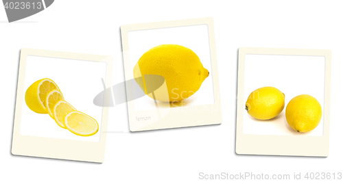 Image of Lemon Photos