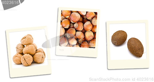 Image of Nuts Photos