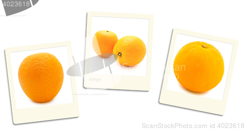 Image of Orange Photos