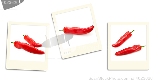 Image of Pepper Photos