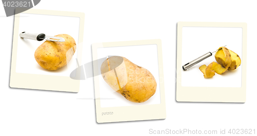 Image of Potato Photos