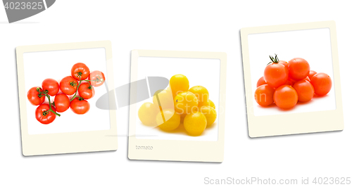 Image of Tomato Photos