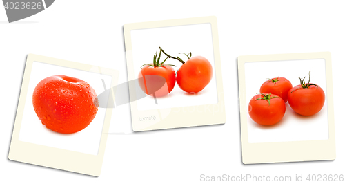 Image of Tomato Photos