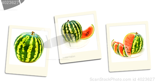 Image of Watermelon Photos