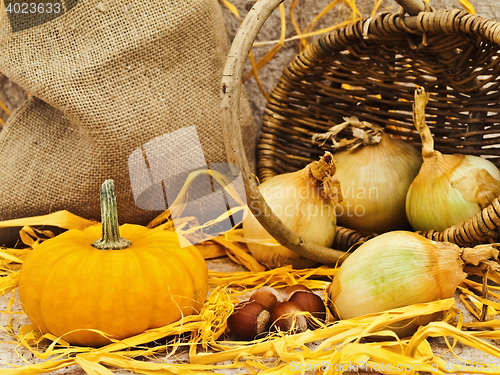 Image of Still Life With Pumpkin