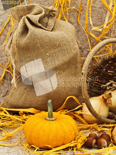 Image of Still Life With Pumpkin