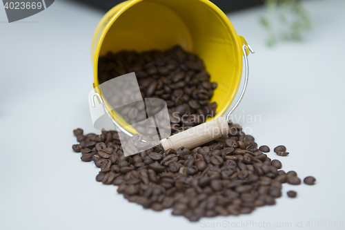 Image of Coffe Grain