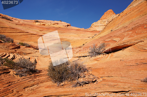 Image of The Wave, Vermilion Cliffs National Monument, Arizona, USA