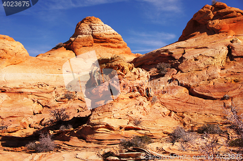 Image of The Wave, Vermilion Cliffs National Monument, Arizona, USA