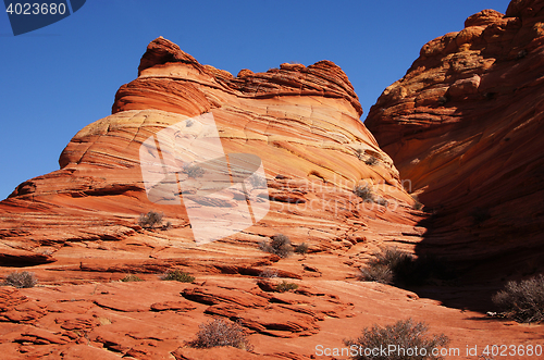 Image of The Wave, Vermilion Cliffs National Monument, Arizona, USA