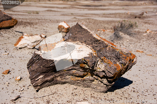 Image of Ah-Shi-Sle-Pah Wilderness Study Area, New Mexico, USA