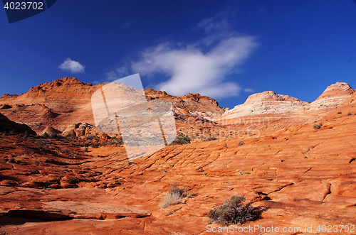 Image of The Wave, Vermilion Cliffs National Monument, Arizona, USA