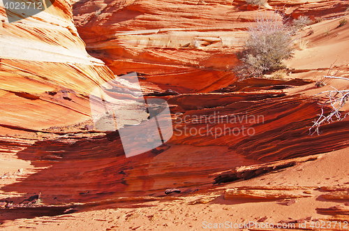 Image of The Wave, Vermilion Cliffs National Monument, Arizona, USA