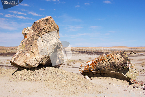 Image of Ah-Shi-Sle-Pah Wilderness Study Area, New Mexico, USA