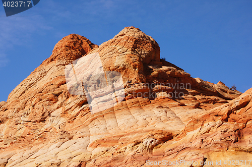 Image of The Wave, Vermilion Cliffs National Monument, Arizona, USA